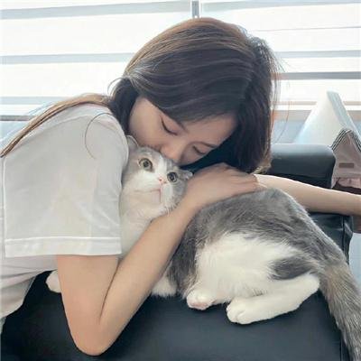 斑马头